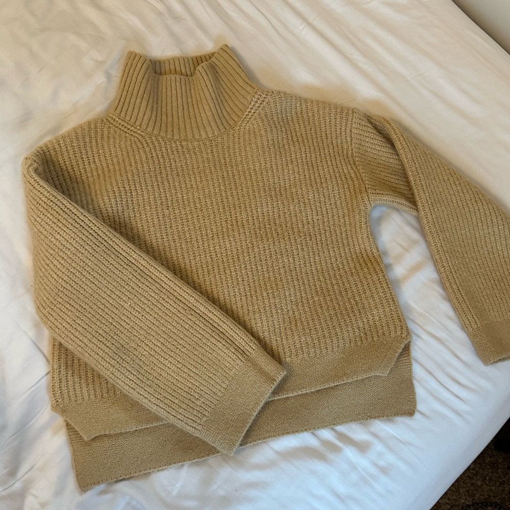 Topshop Crop Turtleneck Sweater